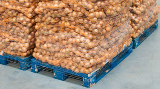 Martin Bros. food service pallet with onions